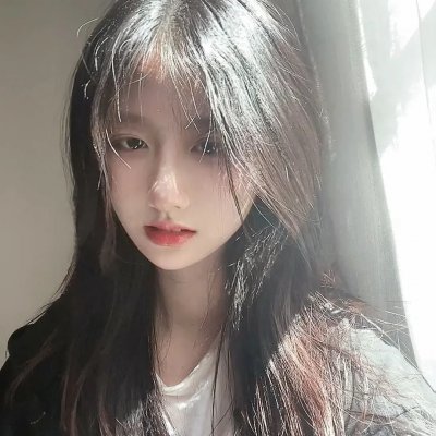 你好喵室友
